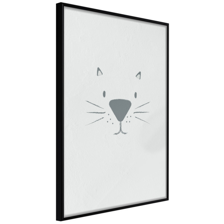 Poster Kitty Face - animal with a funny face on a solid gray background 130695 additionalImage 11