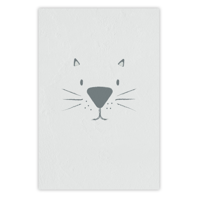Poster Kitty Face - animal with a funny face on a solid gray background 130695