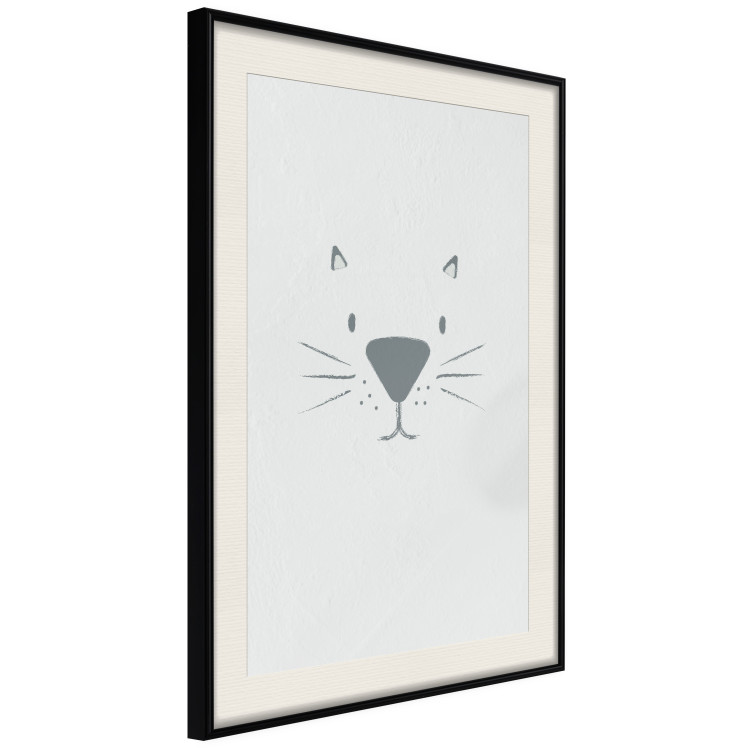 Poster Kitty Face - animal with a funny face on a solid gray background 130695 additionalImage 2