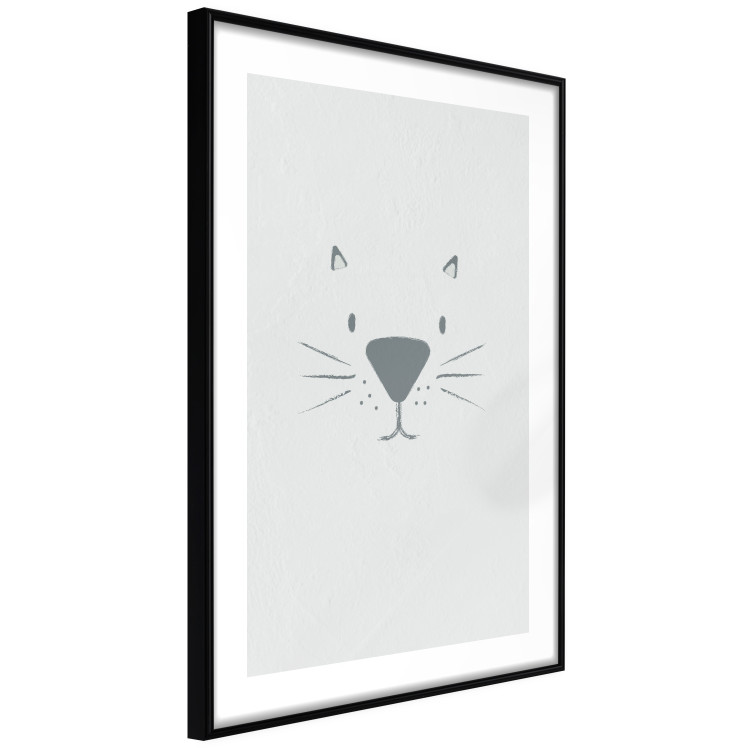 Poster Kitty Face - animal with a funny face on a solid gray background 130695 additionalImage 8
