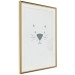 Poster Kitty Face - animal with a funny face on a solid gray background 130695 additionalThumb 3