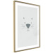 Poster Kitty Face - animal with a funny face on a solid gray background 130695 additionalThumb 9