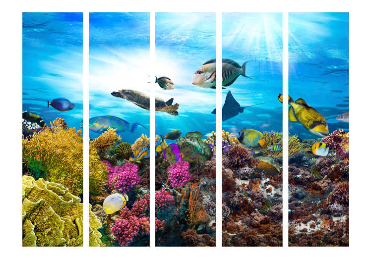 Room Divider Colorful Reef II (5-piece) - animals and plants against an ocean backdrop 133395 additionalImage 3