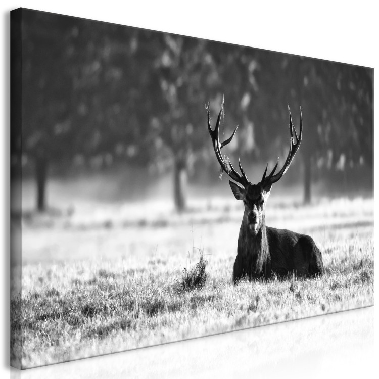 Large canvas print Lying Deer II [Large Format] 137595 additionalImage 2