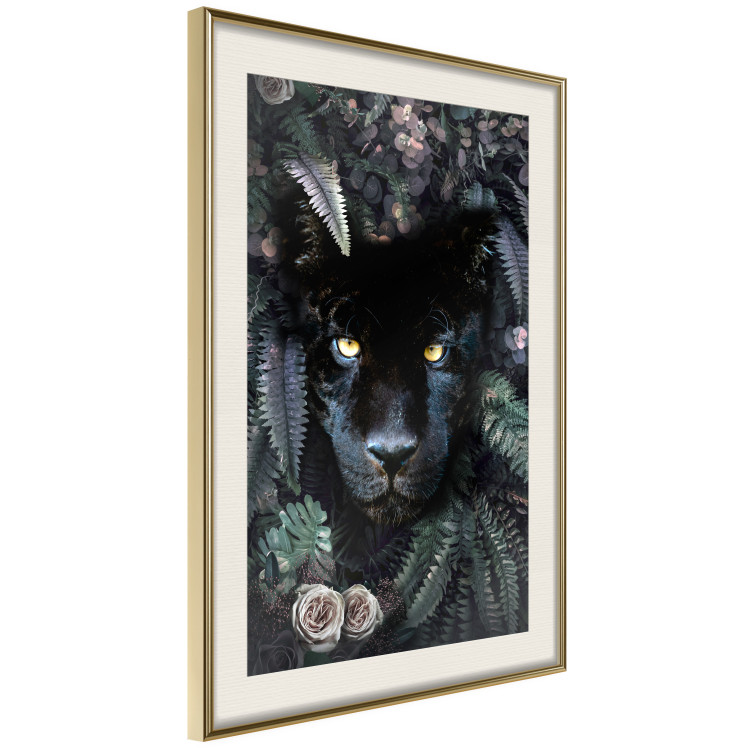 Poster Black Panther in Leaves - portrait of a panther against a background of green plants 138695 additionalImage 15
