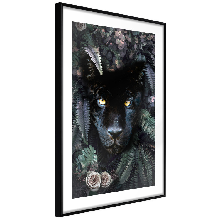 Poster Black Panther in Leaves - portrait of a panther against a background of green plants 138695 additionalImage 12