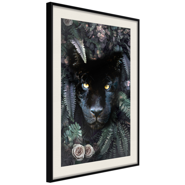 Poster Black Panther in Leaves - portrait of a panther against a background of green plants 138695 additionalImage 13