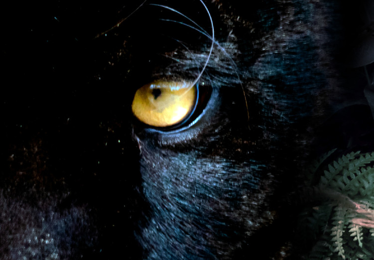 Poster Black Panther in Leaves - portrait of a panther against a background of green plants 138695 additionalImage 27