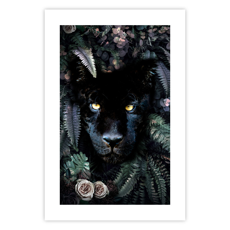 Poster Black Panther in Leaves - portrait of a panther against a background of green plants 138695 additionalImage 25