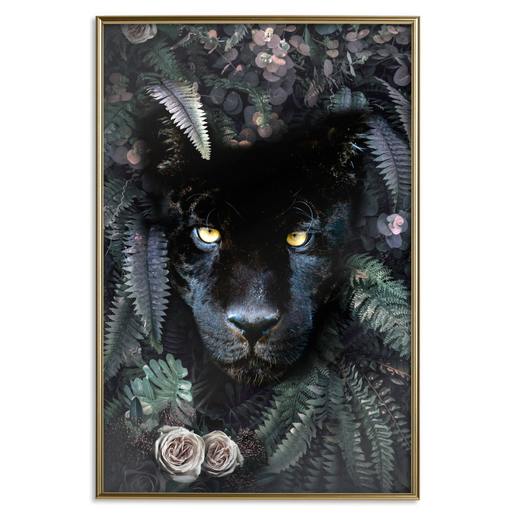 Poster Black Panther in Leaves - portrait of a panther against a background of green plants 138695 additionalImage 14