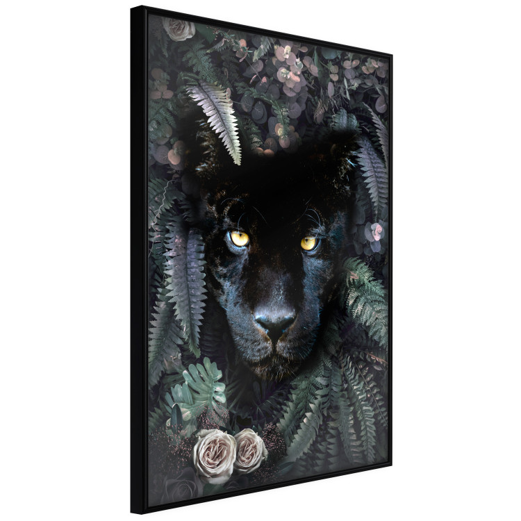 Poster Black Panther in Leaves - portrait of a panther against a background of green plants 138695 additionalImage 10
