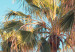 Wall Poster The City of Miami - Palm Trees and the Florida Coast Architecture in Summer in Pastels 144495 additionalThumb 4
