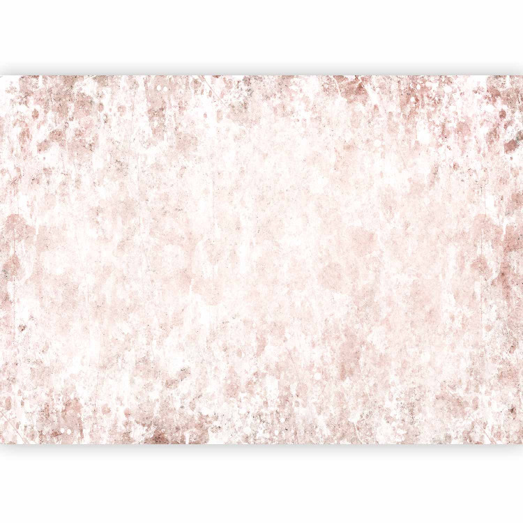 Wall Mural Texture Variety - Brown Background With Abstract Stains 145295 additionalImage 1
