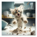 Canvas AI Maine Coon Cat - Scared Animal at Kitchen Work - Square 150095