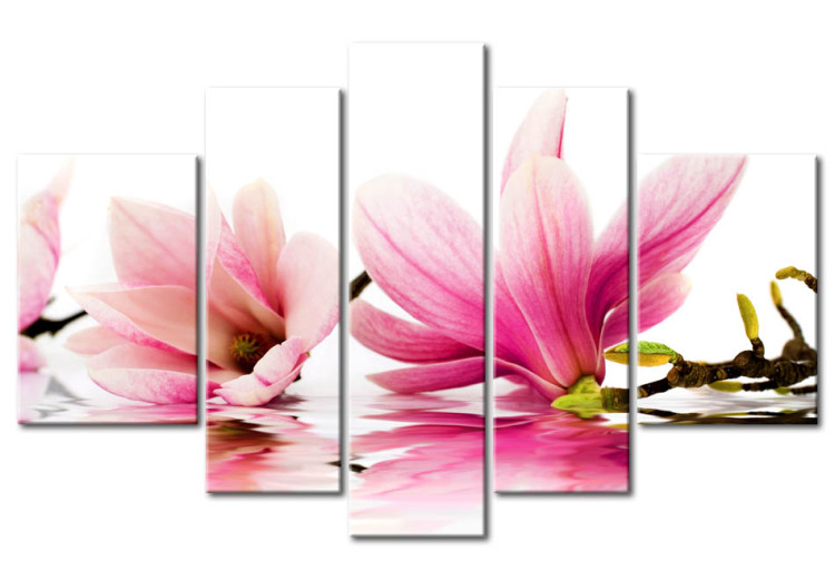 Canvas Print Whiteness and magnolias 50495