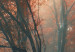 Canvas Art Print Autumnal fog 50595 additionalThumb 3