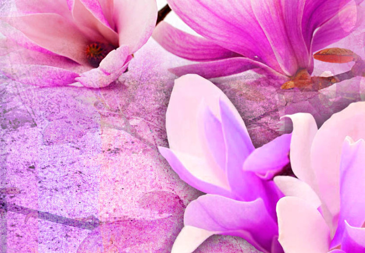 Canvas Art Print Pink magnolia flowers 56595 additionalImage 3