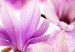 Canvas Art Print Pink magnolia flowers 56595 additionalThumb 4