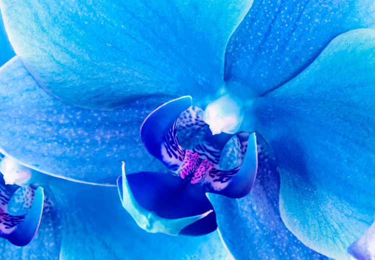 Canvas Art Print Ethereal orchid - blue 58795 additionalImage 5
