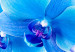 Canvas Art Print Ethereal orchid - blue 58795 additionalThumb 5