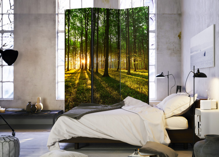 Room Divider Morning in the Forest - landscape of forest nature against the backdrop of a rising sun 95395 additionalImage 2