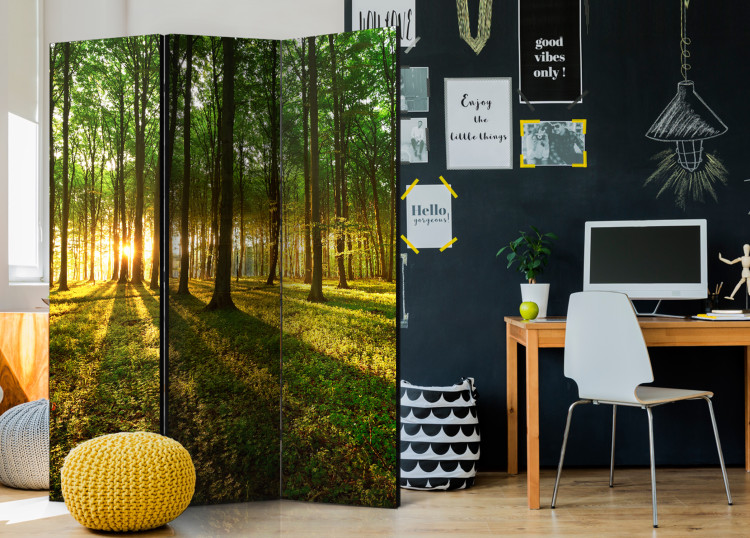 Room Divider Morning in the Forest - landscape of forest nature against the backdrop of a rising sun 95395 additionalImage 4