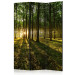 Room Divider Morning in the Forest - landscape of forest nature against the backdrop of a rising sun 95395