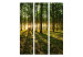 Room Divider Morning in the Forest - landscape of forest nature against the backdrop of a rising sun 95395 additionalThumb 3