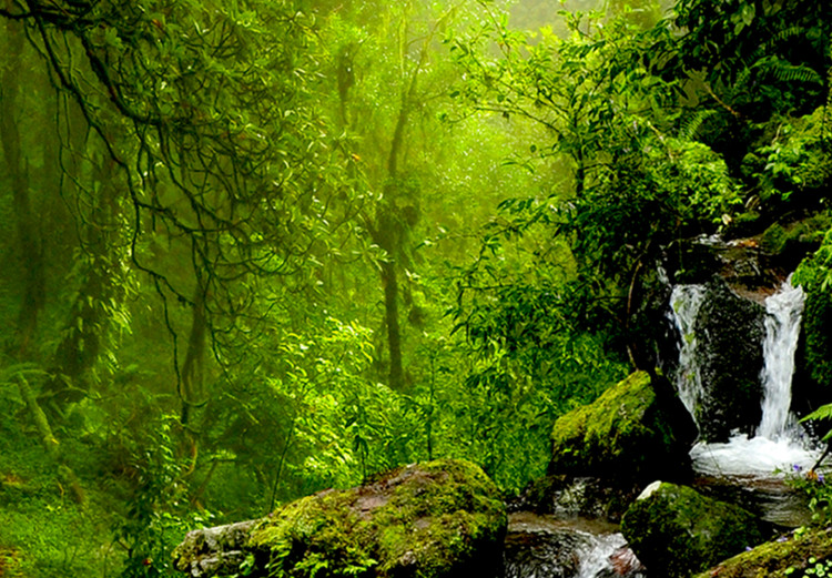 Canvas Mysterious Stone Passage (1-part) - View of Green Forest 96095 additionalImage 5