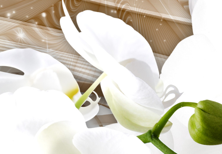 Canvas Orchid and Abstraction - White Flowers on Abstract Beige Background 98195 additionalImage 4
