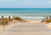 Canvas Art Print Beach Entrance (5-piece) - View of the Mediterranean Sea 98595 additionalThumb 5