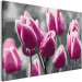 Paint by Number Kit Field of Tulips 107506 additionalThumb 5