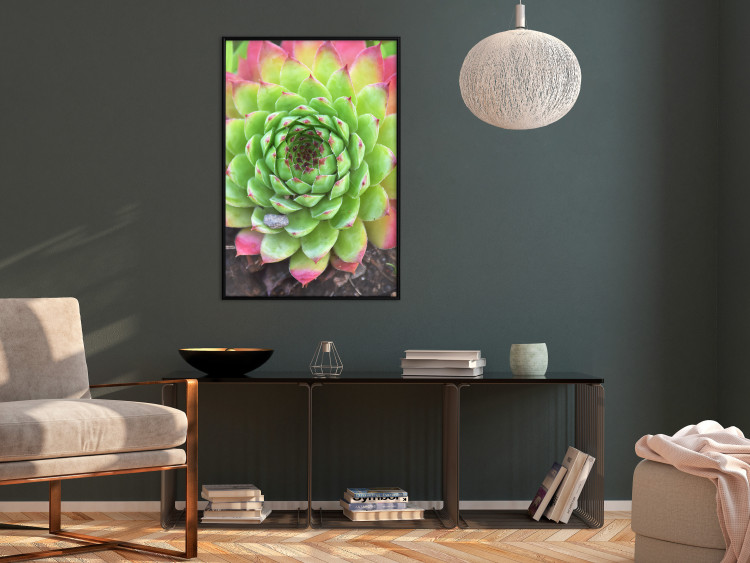 Poster Succulent - botanical composition with green-pink tropical leaves 114306 additionalImage 8