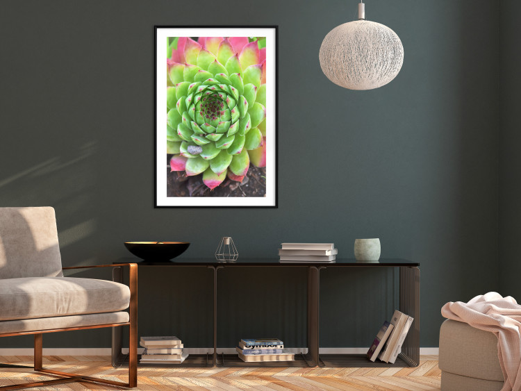 Poster Succulent - botanical composition with green-pink tropical leaves 114306 additionalImage 9
