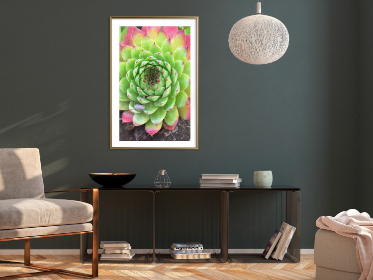 Poster Succulent - botanical composition with green-pink tropical leaves 114306 additionalImage 13