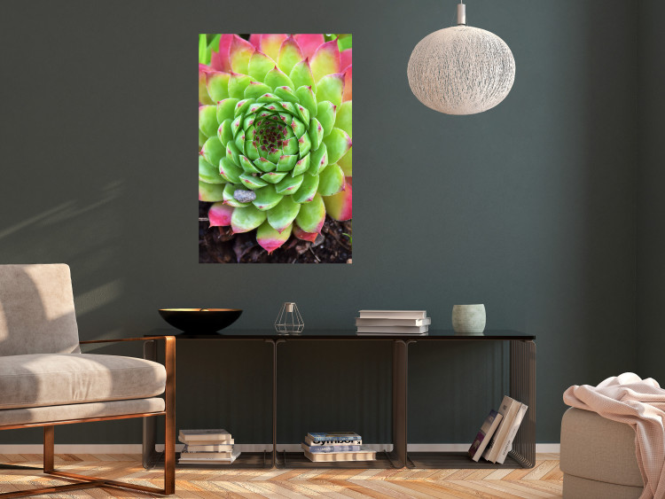 Poster Succulent - botanical composition with green-pink tropical leaves 114306 additionalImage 17