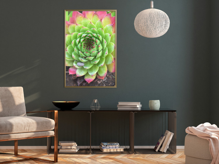 Poster Succulent - botanical composition with green-pink tropical leaves 114306 additionalImage 10