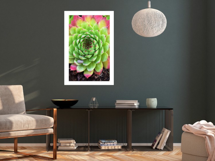 Poster Succulent - botanical composition with green-pink tropical leaves 114306 additionalImage 7