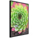 Poster Succulent - botanical composition with green-pink tropical leaves 114306 additionalThumb 2