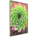 Poster Succulent - botanical composition with green-pink tropical leaves 114306 additionalThumb 3