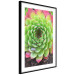 Poster Succulent - botanical composition with green-pink tropical leaves 114306 additionalThumb 12