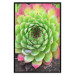 Poster Succulent - botanical composition with green-pink tropical leaves 114306 additionalThumb 18