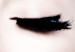 Poster Black lips - composition on white with a woman's face with dark lipstick 115006 additionalThumb 8