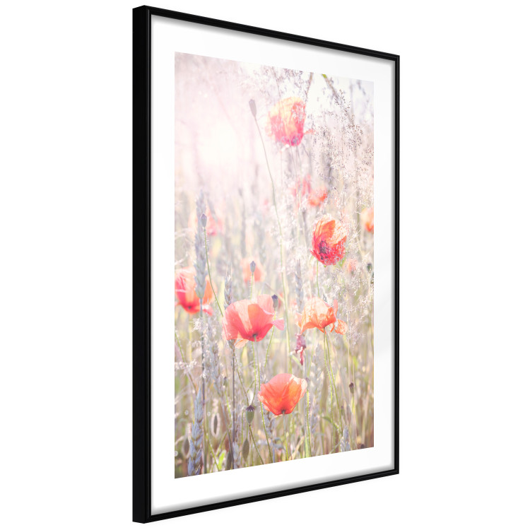 Poster Summer Meadow - colorful composition with red poppies among field flowers 116406 additionalImage 13