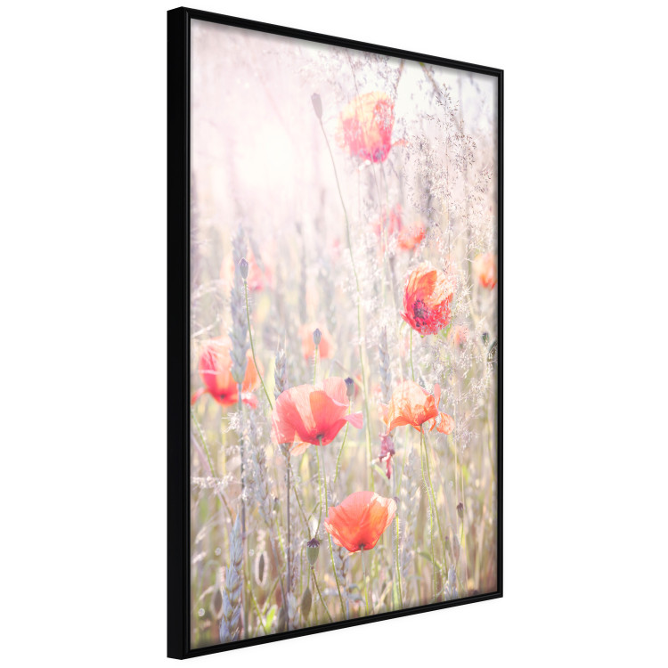 Poster Summer Meadow - colorful composition with red poppies among field flowers 116406 additionalImage 12