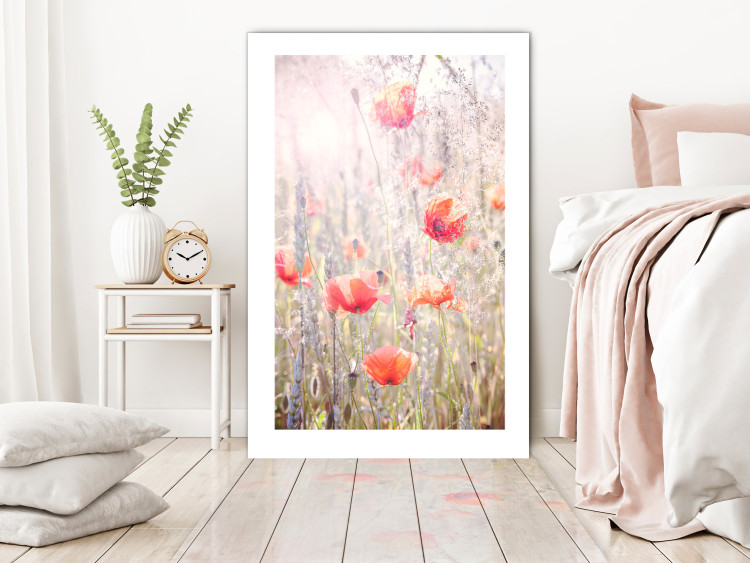 Poster Summer Meadow - colorful composition with red poppies among field flowers 116406 additionalImage 4