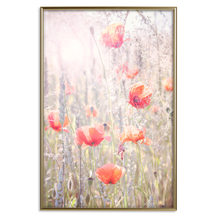 Poster Summer Meadow - colorful composition with red poppies among field flowers 116406 additionalImage 26