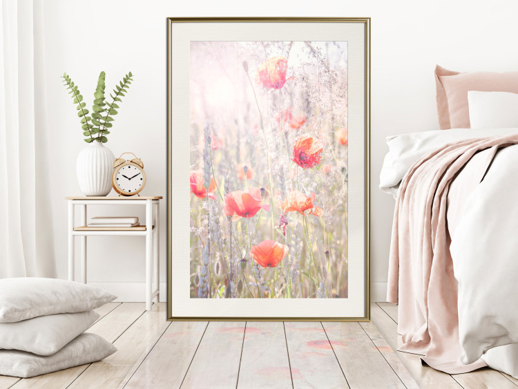 Poster Summer Meadow - colorful composition with red poppies among field flowers 116406 additionalImage 16