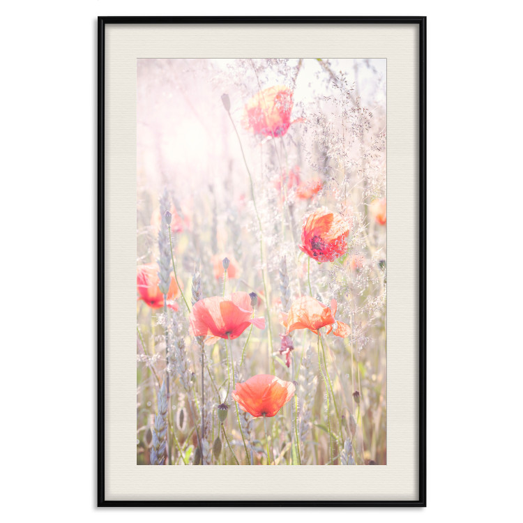 Poster Summer Meadow - colorful composition with red poppies among field flowers 116406 additionalImage 18