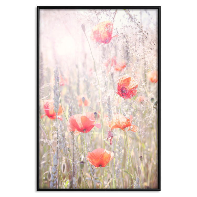 Poster Summer Meadow - colorful composition with red poppies among field flowers 116406 additionalImage 25